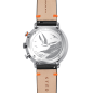 Preview: Hamburg Chrono Edition Küste